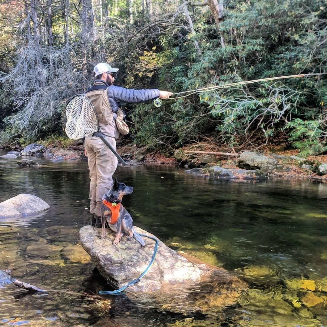 Josh Gorelick casting a fly rod from a river rock, a blue heeler sitting beside him.