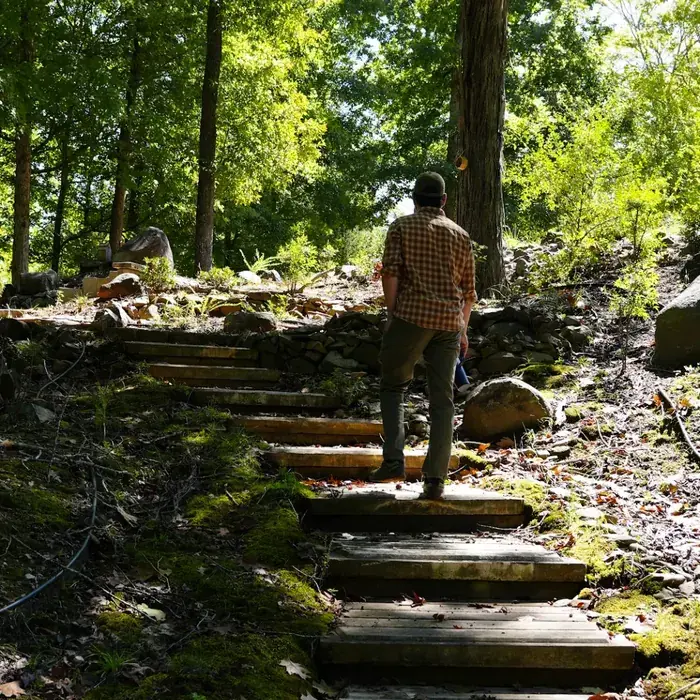 A man in a checked shirt walking up stone steps into the woods, seen from behind.